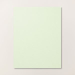 SOFT SEA FOAM 8-1/2" X 11" CARDSTOCK