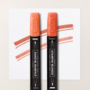 CAJUN CRAZE STAMPIN' BLENDS COMBO PACK