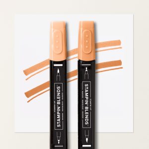 TIMID TIGER STAMPIN’ BLENDS COMBO PACK