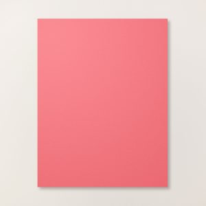 STRAWBERRY SLUSH 8-1/2" X 11" CARDSTOCK