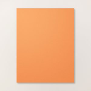 TIMID TIGER 8-1/2" X 11" CARDSTOCK