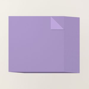 HIGHLAND HEATHER 12" X 12" (30.5 X 30.5 CM) TWO-TONE CARDSTOCK