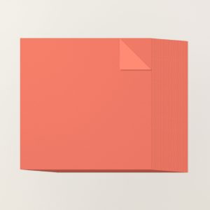 CALYPSO CORAL 12" X 12" (30.5 X 30.5 CM) TWO-TONE CARDSTOCK