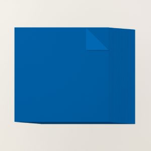 BLUEBERRY BUSHEL 12" X 12" (30.5 X 30.5 CM) TWO-TONE CARDSTOCK