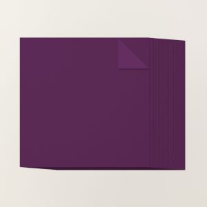 BLACKBERRY BLISS 12" X 12" (30.5 X 30.5 CM) TWO-TONE CARDSTOCK