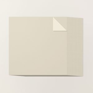 BASIC BEIGE 12" X 12" (30.5 X 30.5 CM) TWO-TONE CARDSTOCK