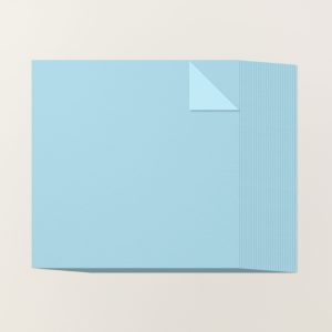 BALMY BLUE 12" X 12" (30.5 X 30.5 CM) TWO-TONE CARDSTOCK