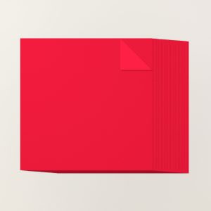 POPPY PARADE 12" X 12" (30.5 X 30.5 CM) TWO-TONE CARDSTOCK
