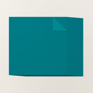 PRETTY PEACOCK 12" X 12" (30.5 X 30.5 CM) TWO-TONE CARDSTOCK