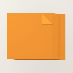 PUMPKIN PIE 12" X 12" (30.5 X 30.5 CM) TWO-TONE CARDSTOCK