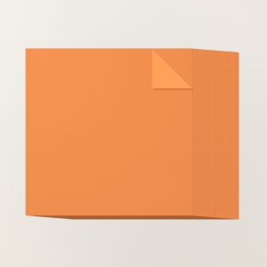 TIMID TIGER 12" X 12" (30.5 X 30.5 CM) TWO-TONE CARDSTOCK