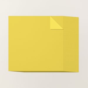DARLING DUCKLING 12" X 12" (30.5 X 30.5 CM) TWO-TONE CARDSTOCK