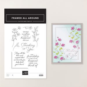 FRAMED ALL AROUND PHOTOPOLYMER STAMP SET (ENGLISH)