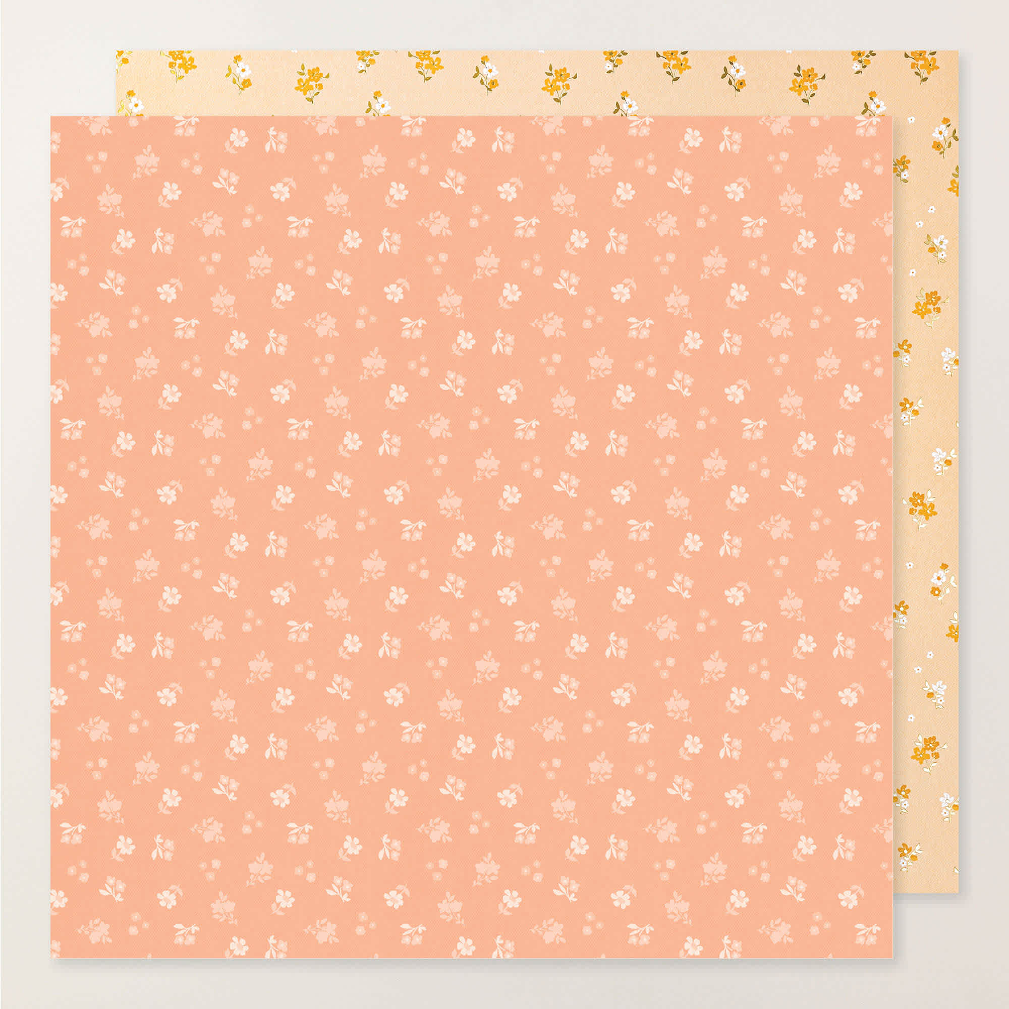 167734o12.jpg
